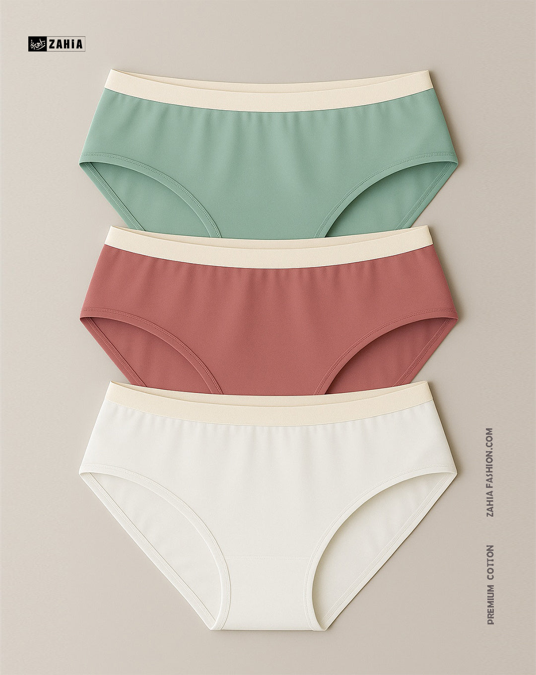 Brief Panties - MultiColor 3 Pcs