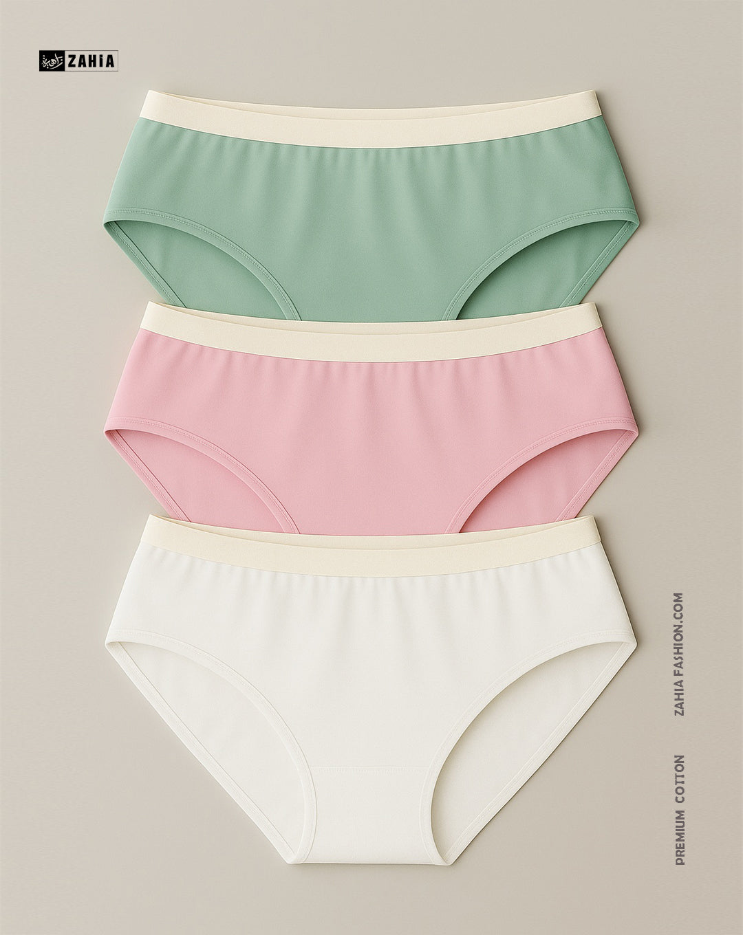 Brief Panties - MultiColor 3 Pcs