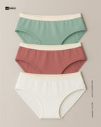 Brief Panties - MultiColor 3 Pcs