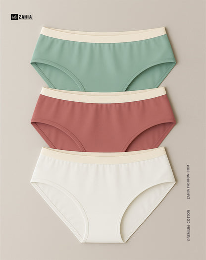Brief Panties - MultiColor 3 Pcs