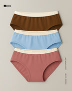 Brief Panties - MultiColor 3 Pcs